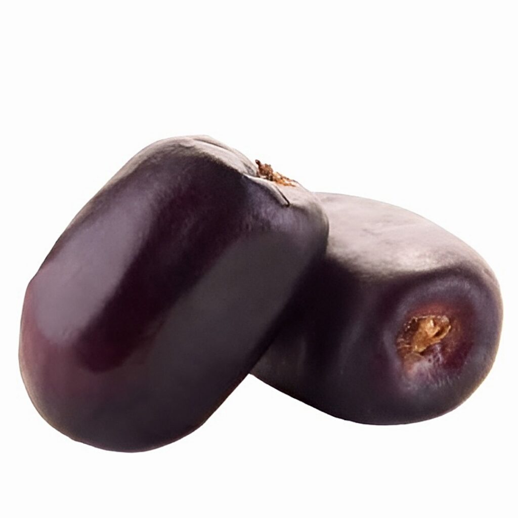 خیار 1 1732481335042