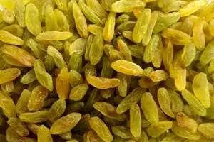 New From Our Magazine 1 image